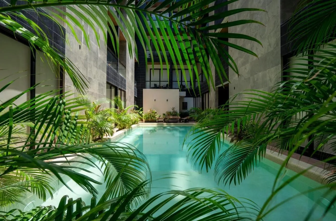 Apartamento 2Br Condo W/ Rooftop Oceanview & Centric Location Playa del Carmen